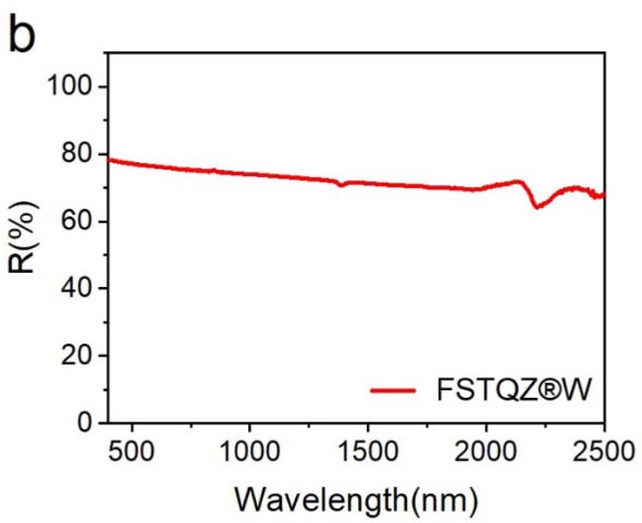 2024-9-19 ��ʯӢ����2.jpg